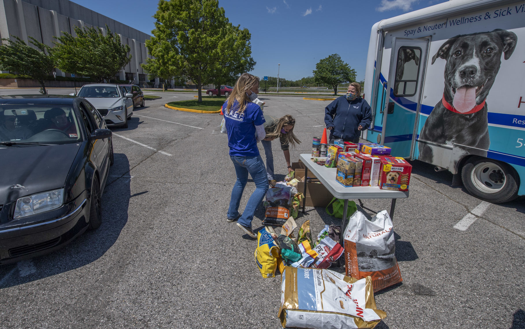 dp_Pet Food_05092014